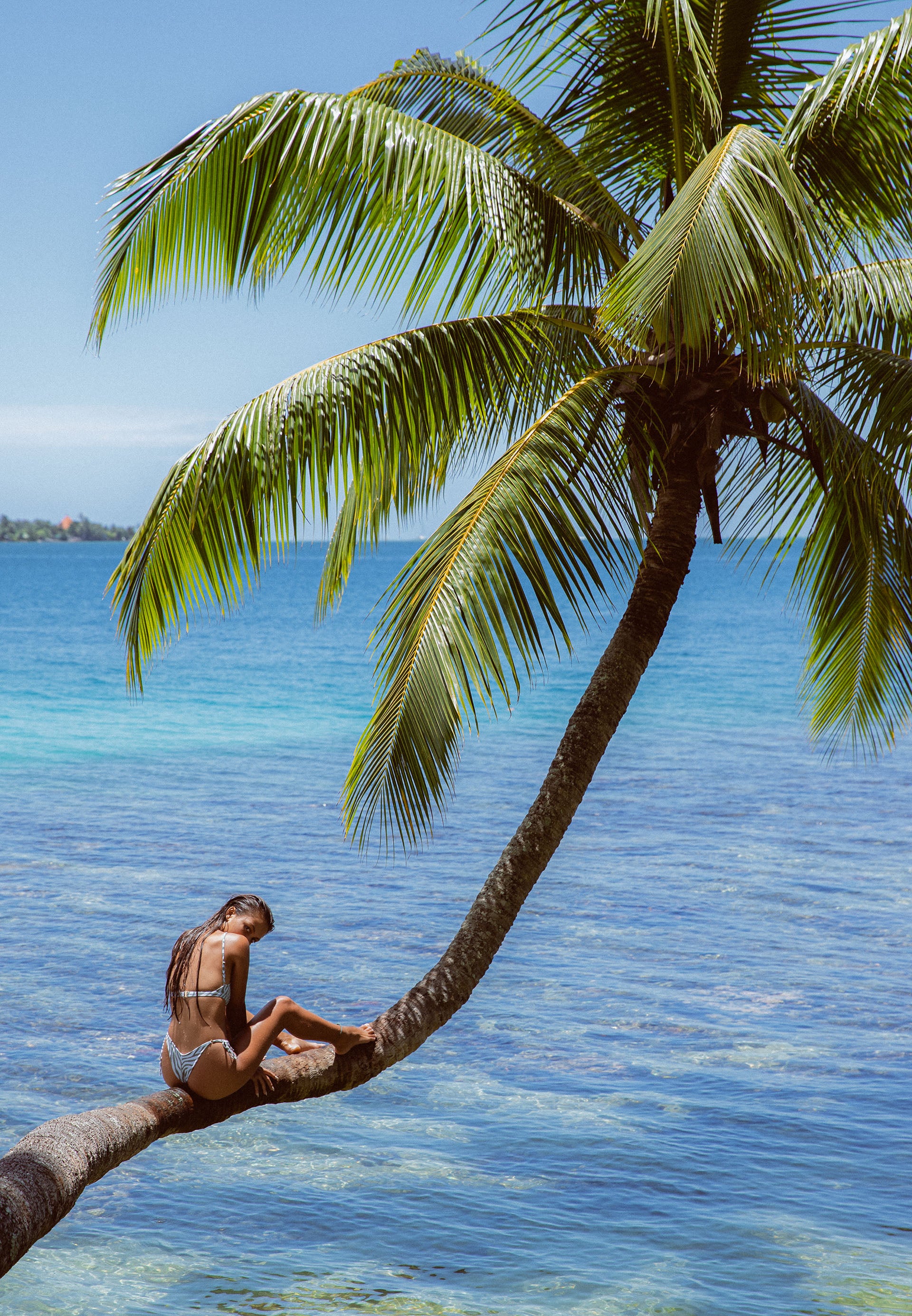 Saladita Top (Stone Zebra)